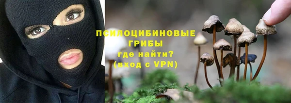 Альфа ПВП Алзамай