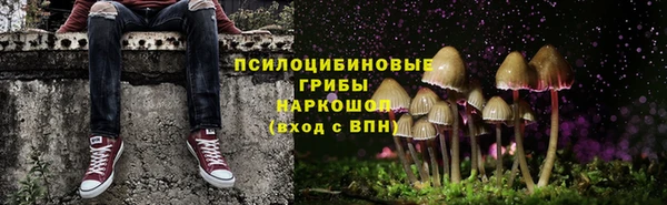 MESCALINE Аркадак