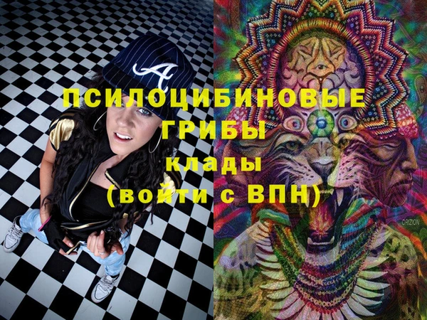прущая мука Армянск